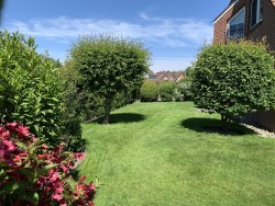 Foto: Ferienhaus Mien lüttje Huuske, Greetsiel: Wir freuen uns auf Sie und richten alles schön her, damit Sie sich wohlfühlen und Ihren Urlaub bei uns genießen können!